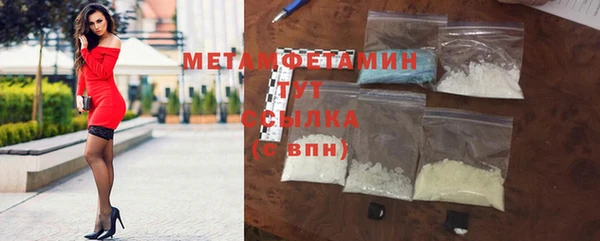 прущие грибы Волосово