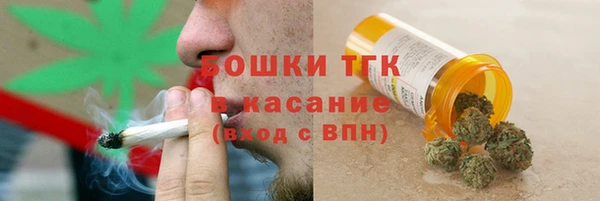 твердый Володарск