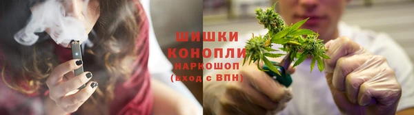 бошки Вязьма