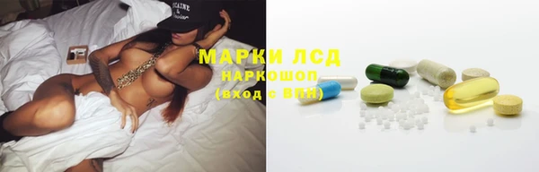 прущие грибы Волосово