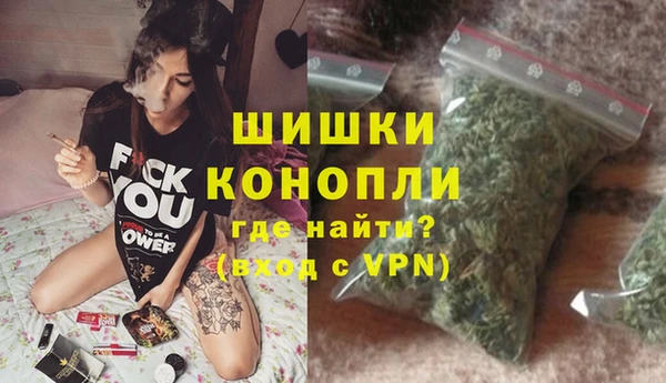 прущие грибы Волосово