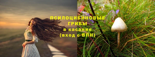твердый Володарск