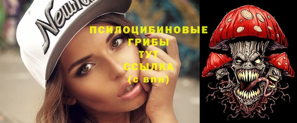 бошки Вязьма