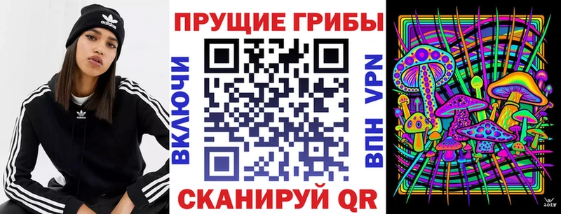 сколько стоит  Данков  Псилоцибиновые грибы ЛСД 